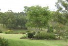 Parkes ACTresidential-landscaping-40.jpg; ?>